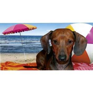  Dachshund Beach License Plate Customize with Name/Aluminum 