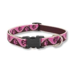  3/4 Tickled Pink 15 25 Adjustable Collar