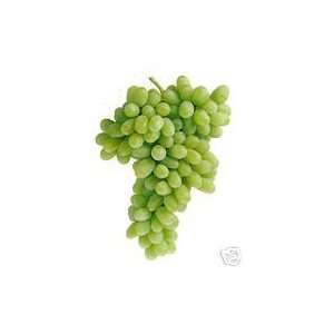  Thompson Seedless Grape Vines Patio, Lawn & Garden