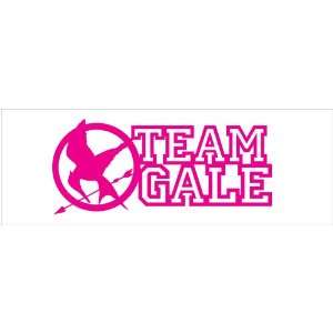  Hunger Games Team Gale Mocking Jay Sticker Decal. Pink 