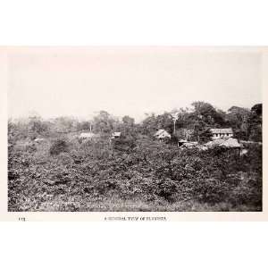  1912 Halftone Print  Floresta Village Jungle 