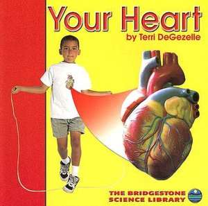   Your Heart by Terri DeGezelle, Capstone Press 