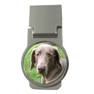  Weimaraner 16 Money Clip V0636 