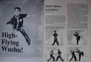ARTICLE High Flying Wushu (Richard Braden)