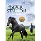 NEW ~ Adventures of the Black Stallion   Horse Equestrian Lover 2 Dvd 