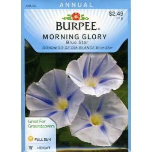   Burpee 48470 Morning Glory Blue Star Seed Packet Patio, Lawn & Garden