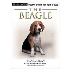  TFH   Nylabone Terra Nova Beagle W/Dvd