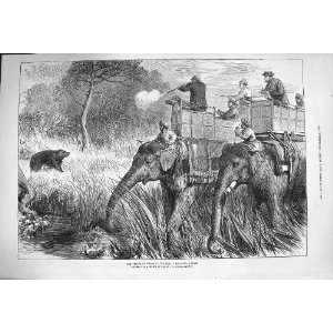  1876 Prince Wales Terai Shooting Bear Hunting Elephants 