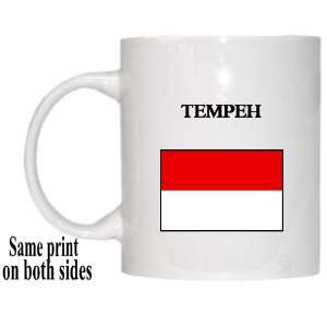  Indonesia   TEMPEH Mug 