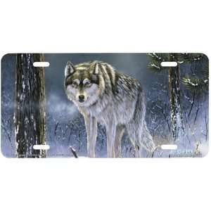 The Shadow Hunter Timber Wolf Art License Plate Auto Car Front Novelty 