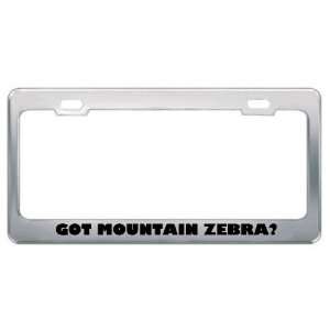  Got Mountain Zebra? Animals Pets Metal License Plate Frame 