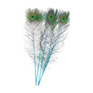  Dyed Turquoise Peacock Feathers 35 40 (Pack of 100 
