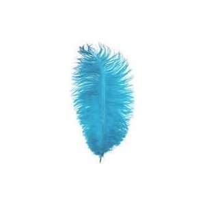    17 Ostrich Feathers   Turquoise (Pack of 12) Arts, Crafts & Sewing