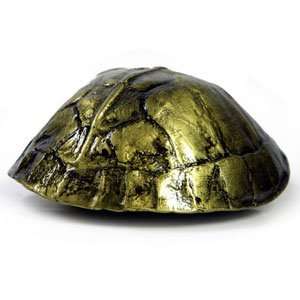 Tortoise Shell 