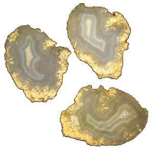 Agate Slab 17 Set of 3 Blue Lace Crystal Geode Slice Stones Healing 