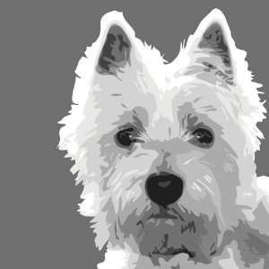  Emily Burrowes   West Highland Terrier Canvas