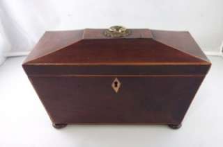 Antique English Rosewood TEA CADDY Sarcophagus Style NICE  