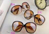 Cool Womens Vintage Big UV Sunglasses 4 Color w/ Case  