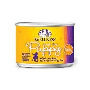  Wellness Super5Mix 6 Oz Puppy