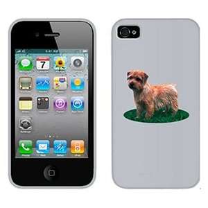  Norfolk Terrier on Verizon iPhone 4 Case by Coveroo  