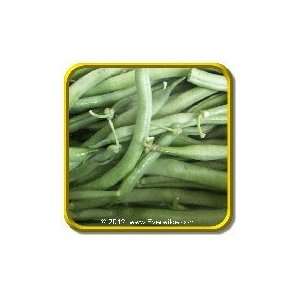  Langstrath Stringless   Jumbo Green Bean Seed Packet (120 