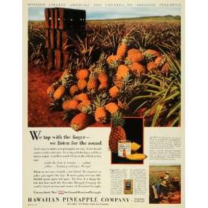 1927 Ad Hawaiian Pineapple Company Growers Canners Dole   Original 