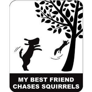  Chase Squirrels Car Magnet Patio, Lawn & Garden