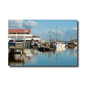  Steveston Scenic V Giclee Print