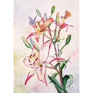Jersey Lily    Print