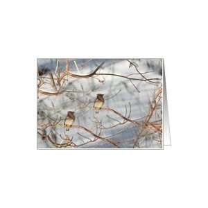  Double Cedar Waxwing Wildlife Nature Photo Note Card Card 