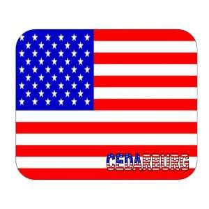  US Flag   Cedarburg, Wisconsin (WI) Mouse Pad Everything 