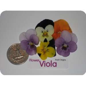 Edible Flower   Viola   4 x 50 Count  Grocery & Gourmet 
