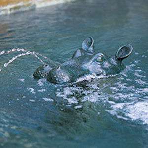 18 Bronze Garden Spitter Fountain Hippo Head Safari  