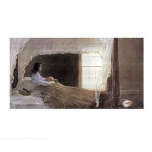  Chambered Nautilus   Poster by Andrew Wyeth (27x22)