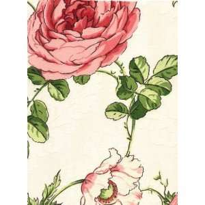  Sample   Rose Matters Rose Patio, Lawn & Garden