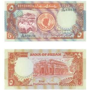  Sudan 1991 5 Pounds, Pick 45 