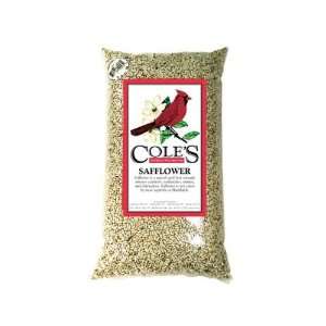   Special White Seed   for Cardinals, Finches, Nuthatches and Chickadees