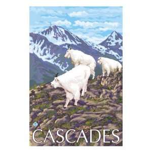  Cascades Mts, Washington, Mountain Goat Family Premium 