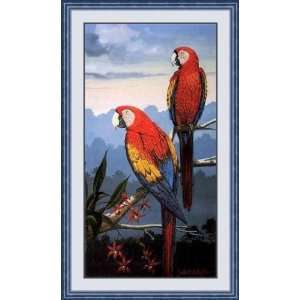    Scarlet Macaw by Jules Scheffer   Framed Artwork