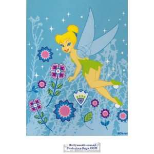    Tinkerbell Twin Mink Plush Blanket (Fairy Meadows) 