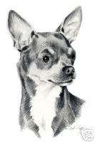 CHIHUAHUA Dog Drawing ART NOTE CARDS by Artist DJR  