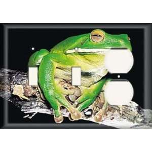   Switch/ One Duplex Receptacle Plate   Snobby Frog