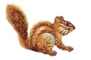 Chipmunk Embroidered Iron On Applique Patch 155462  