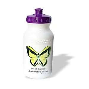Boehm Graphics Butterfly   Goliath Birdwing Butterfly   Water Bottles