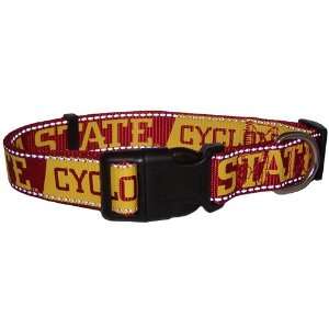  Iowa State Cyclones Red Gold Small Dog Collar