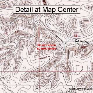 USGS Topographic Quadrangle Map   Skunk Canyon, New Mexico (Folded 