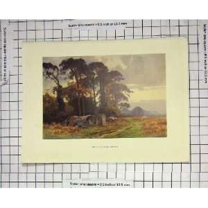    COLOUR PRINT VIEW GIPSIES COLDHARBOUR HASLEHUST
