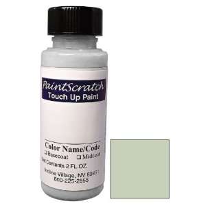  Jewel Frost Metallic Touch Up Paint for 2007 Pontiac G5 (color code 