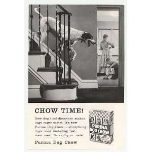  1958 Pointer Purina Dog Chow Photo Print Ad