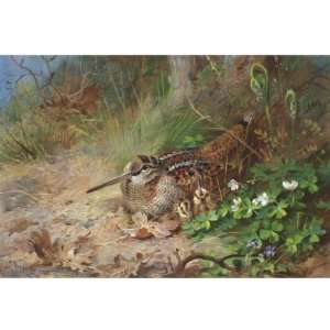  FRAMED oil paintings   Archibald Thorburn   24 x 24 inches 